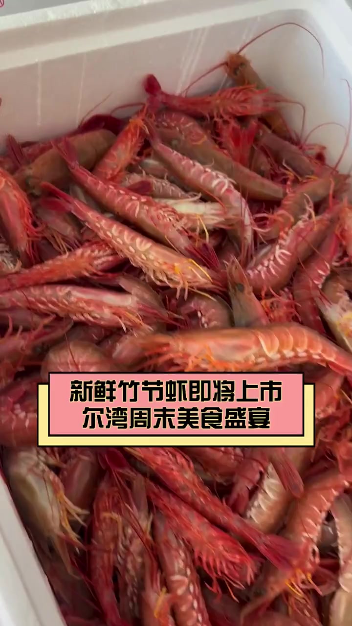 新鲜竹节虾即将上市,尔湾周末美食盛宴