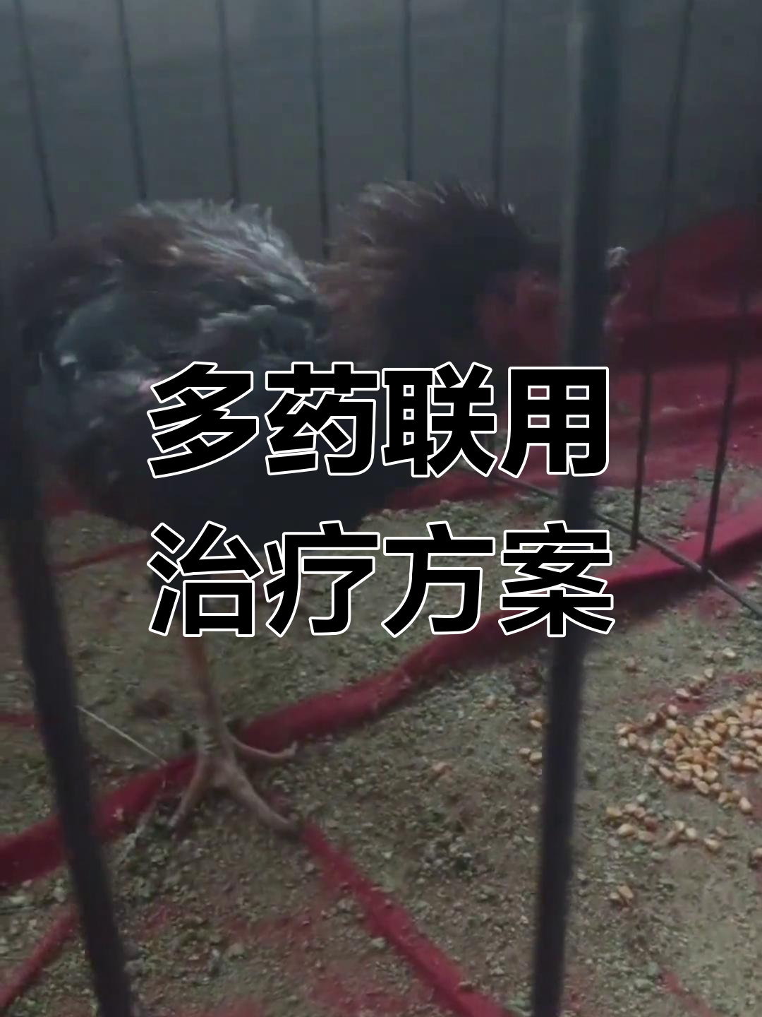 肌肉注射与口服药物组合,针对多种病症的联合治疗