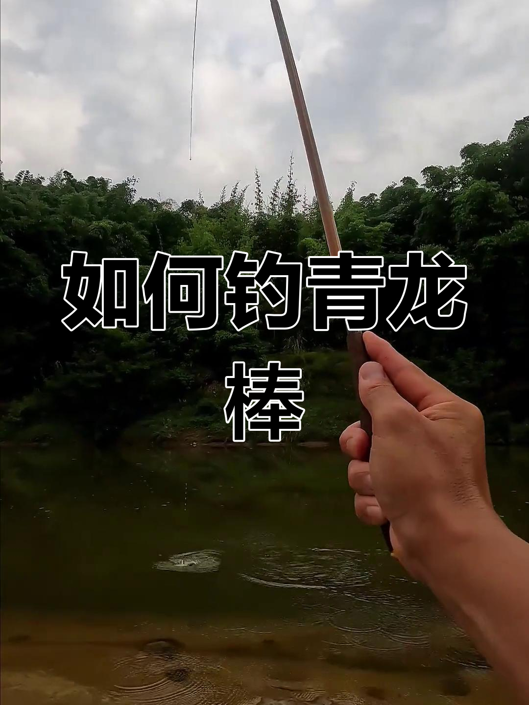 青龙棒鱼钓法揭秘:深浅水都能钓,拉力惊人