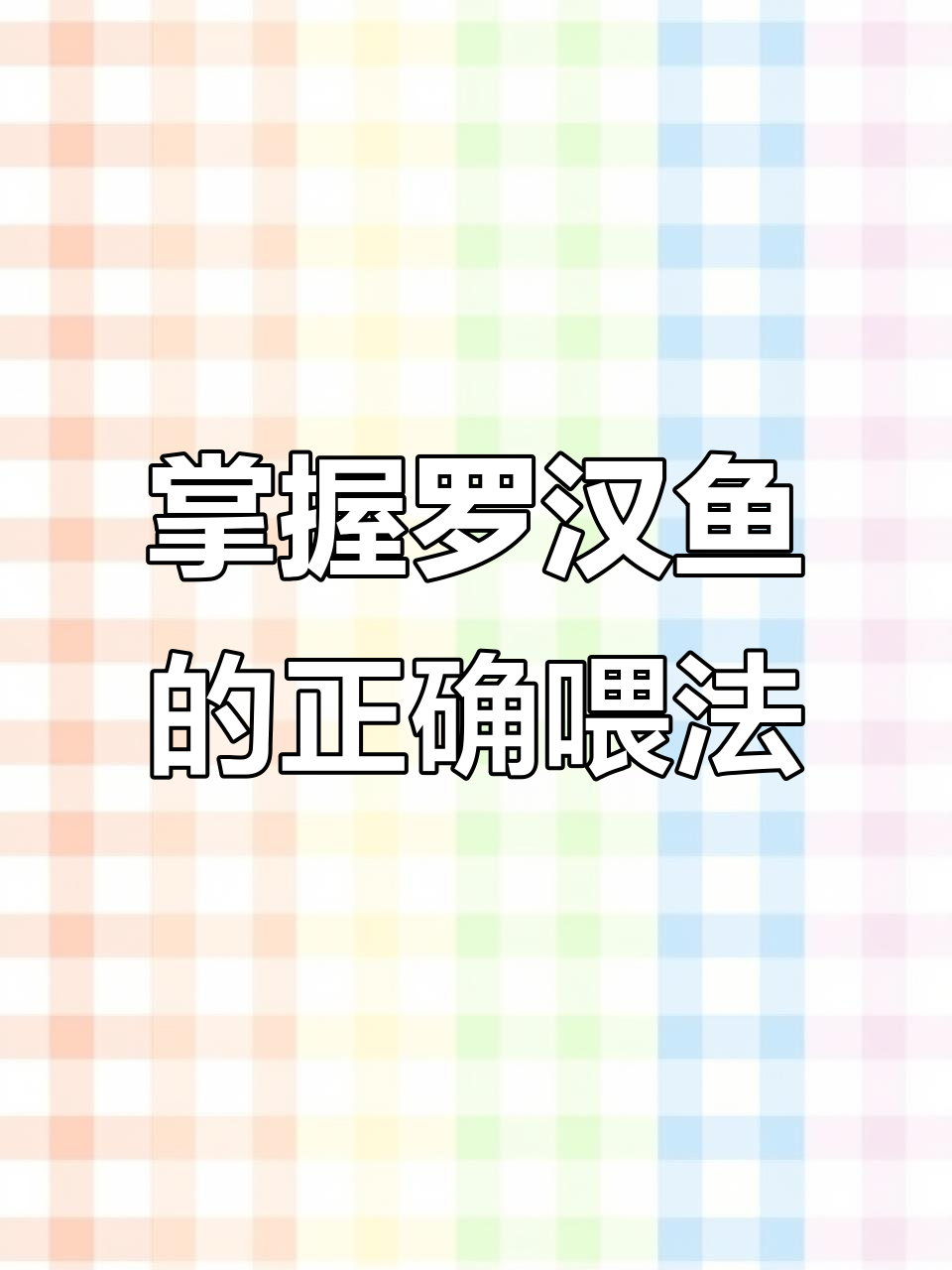 罗汉鱼喂食技巧：如何避免过度饥饿