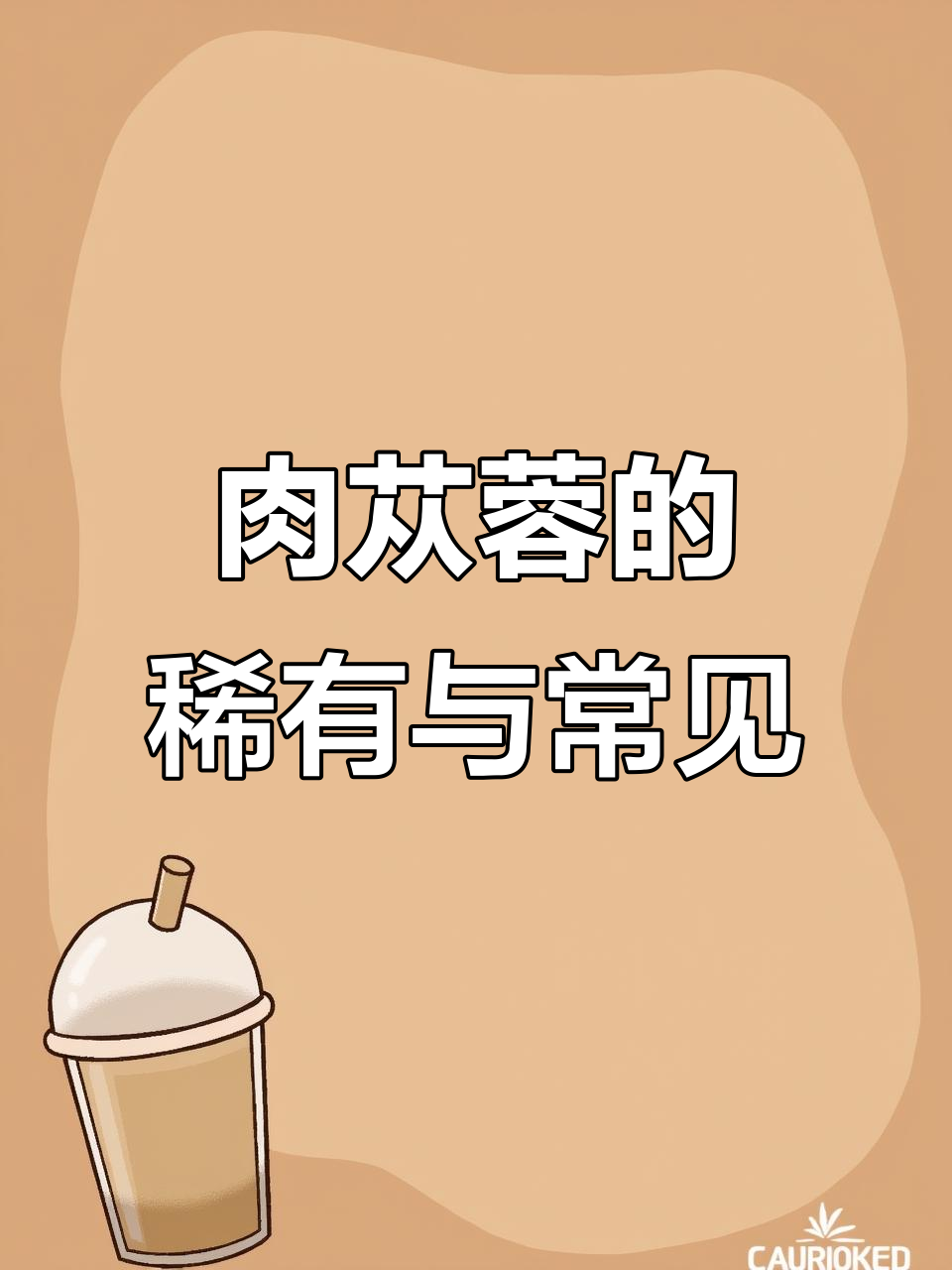 新疆肉苁蓉菊花心常见，阿拉善品种稀少且珍贵