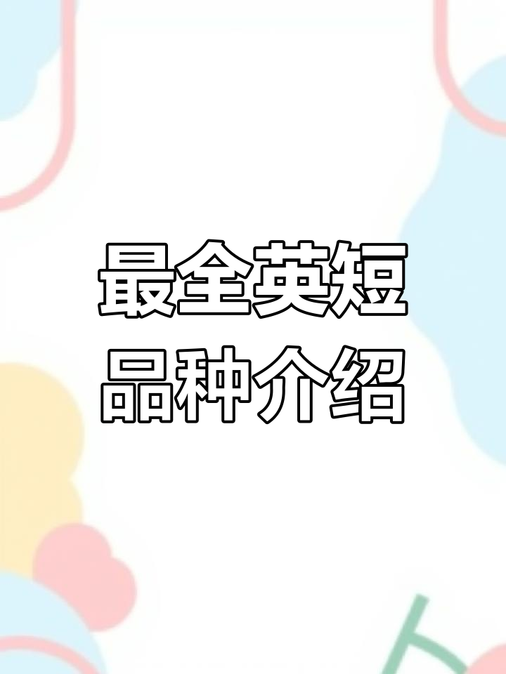 英短品种大揭秘:蓝猫、白猫、奶茶色,哪种最适合你?