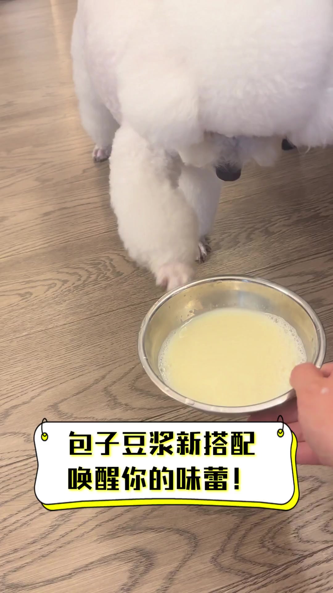 包子豆浆新搭配,唤醒你的味蕾!