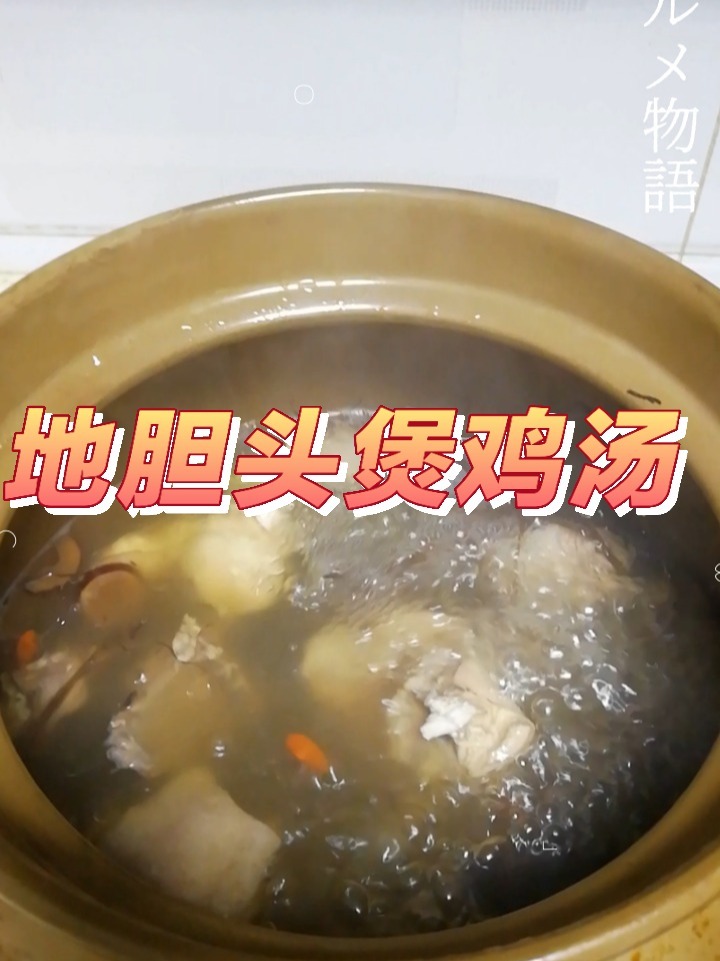 地胆头煲鸡汤