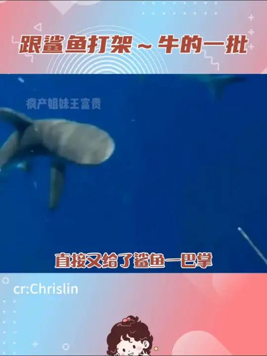 活久见,我也是看到有人跟鲨鱼打架了