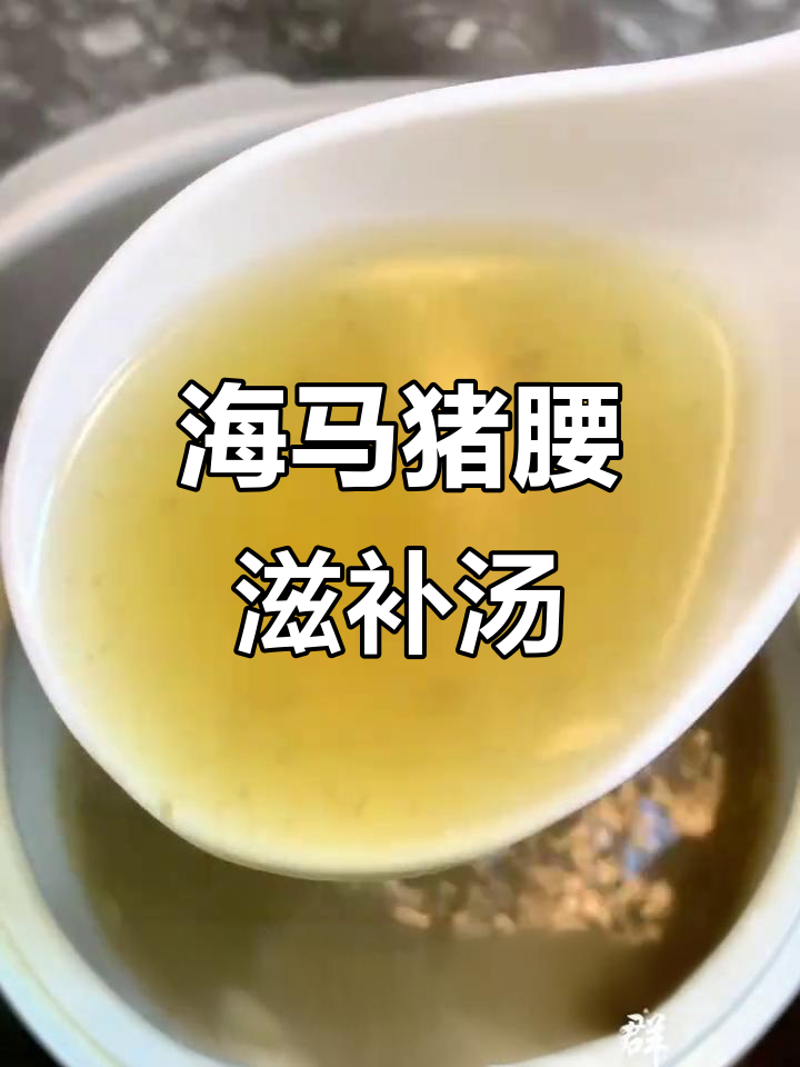 冬季补肾汤，海马猪腰炖杜仲，温补强筋效果好