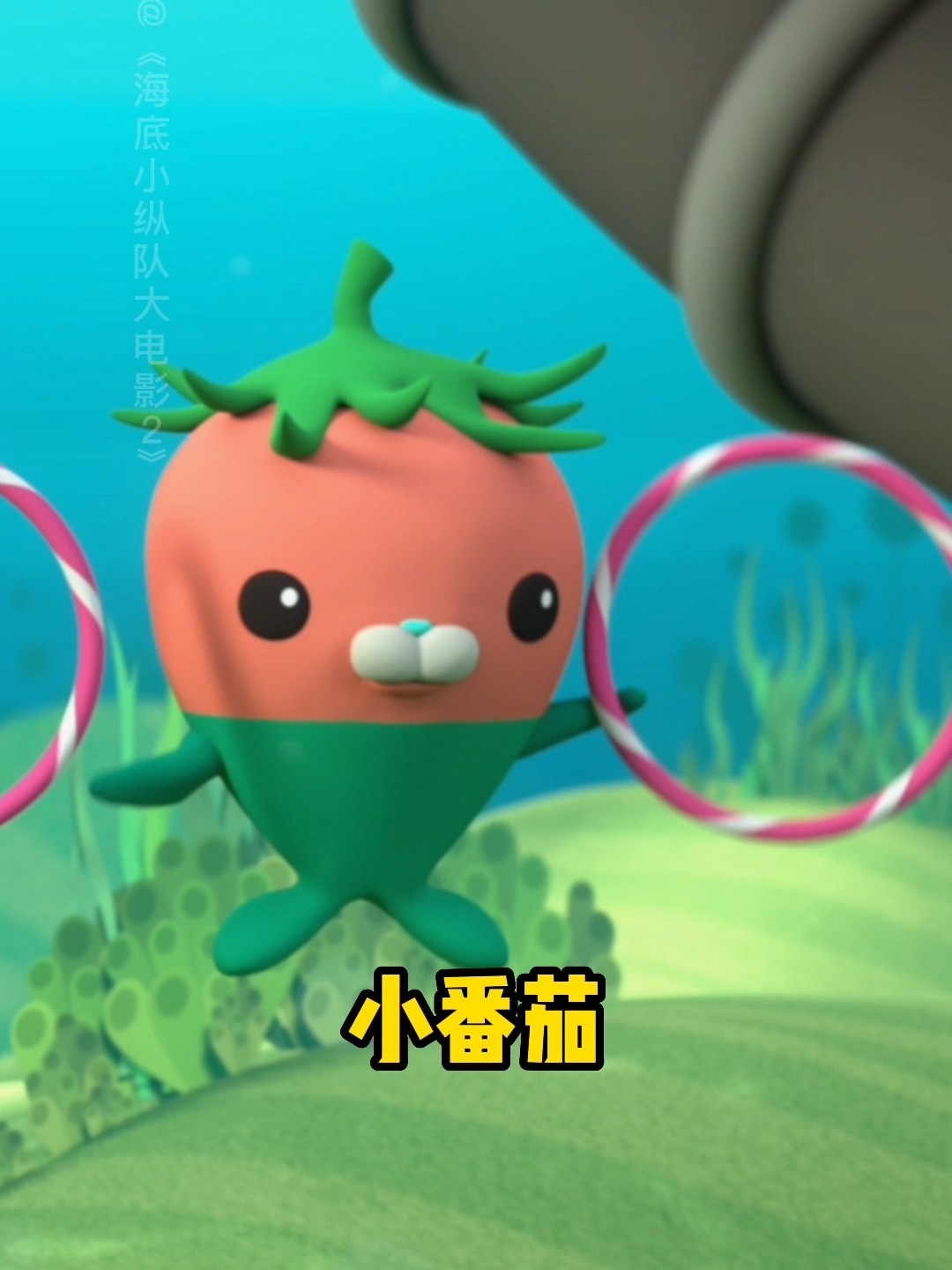 谁能叫全植物鱼的名字?