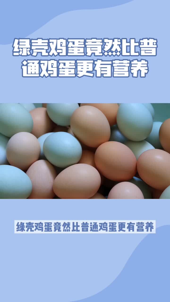 绿壳鸡蛋竟然比普通鸡蛋更有营养