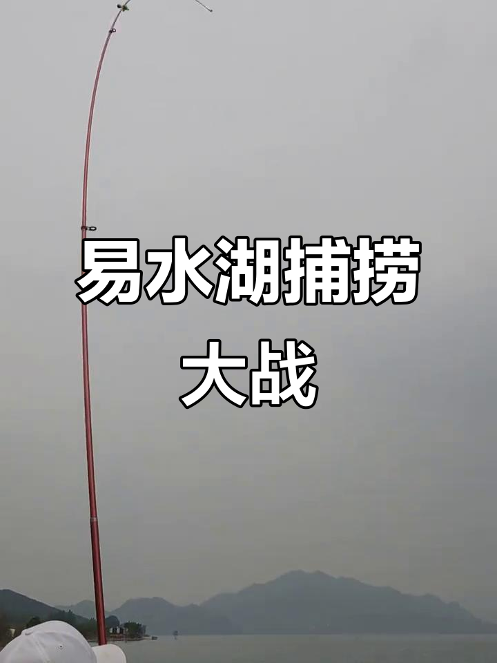 野生鱼大作战:黑鱼、鲶鱼接连上钩,抄网差点来不及