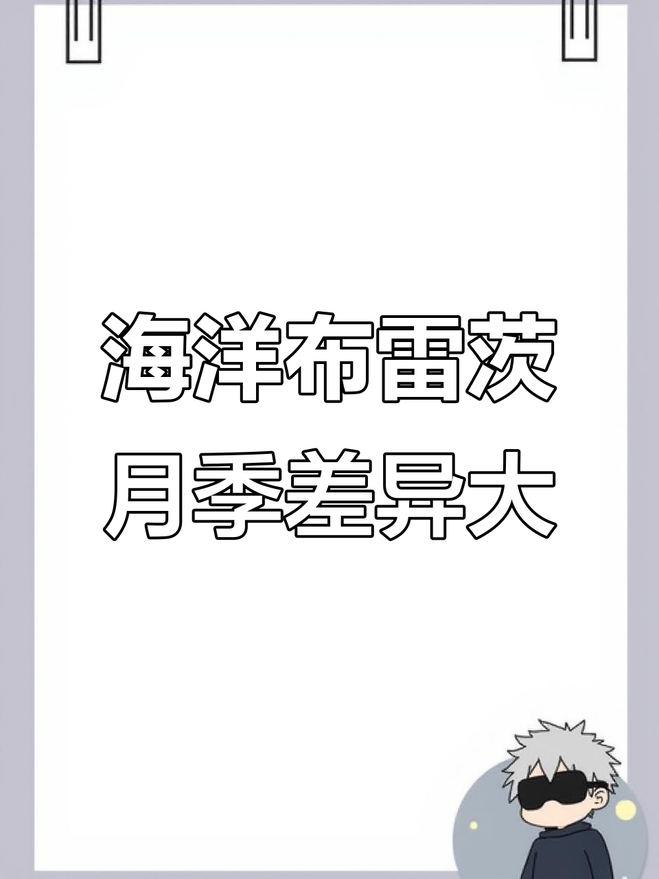 我的海洋布雷茨月季与想象中的不一样,差距竟然这么大!