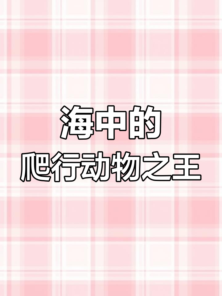 幻龙与鱼龙的海洋争霸战:谁才是真正的海中王者?