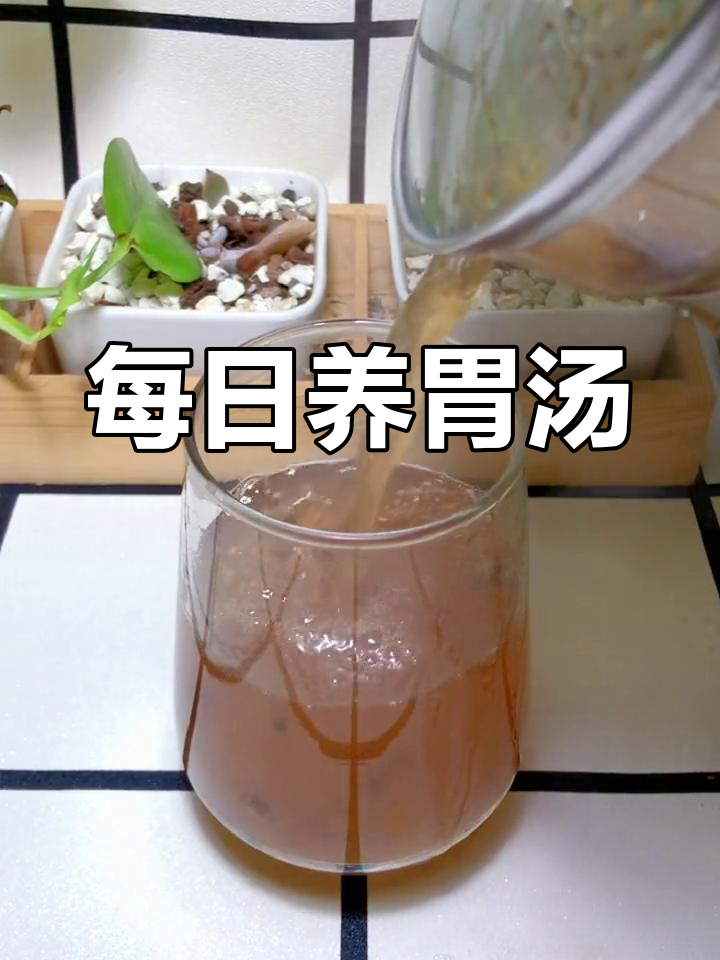 养胃理气汤,每天两杯让你远离胃痛