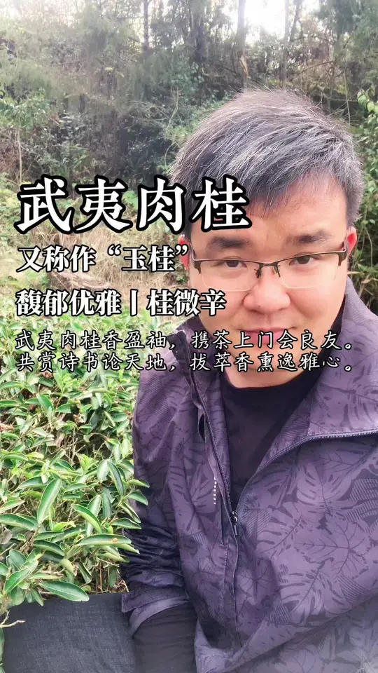 霸气浓郁香浓不妖，武夷肉桂茶的独特魅力