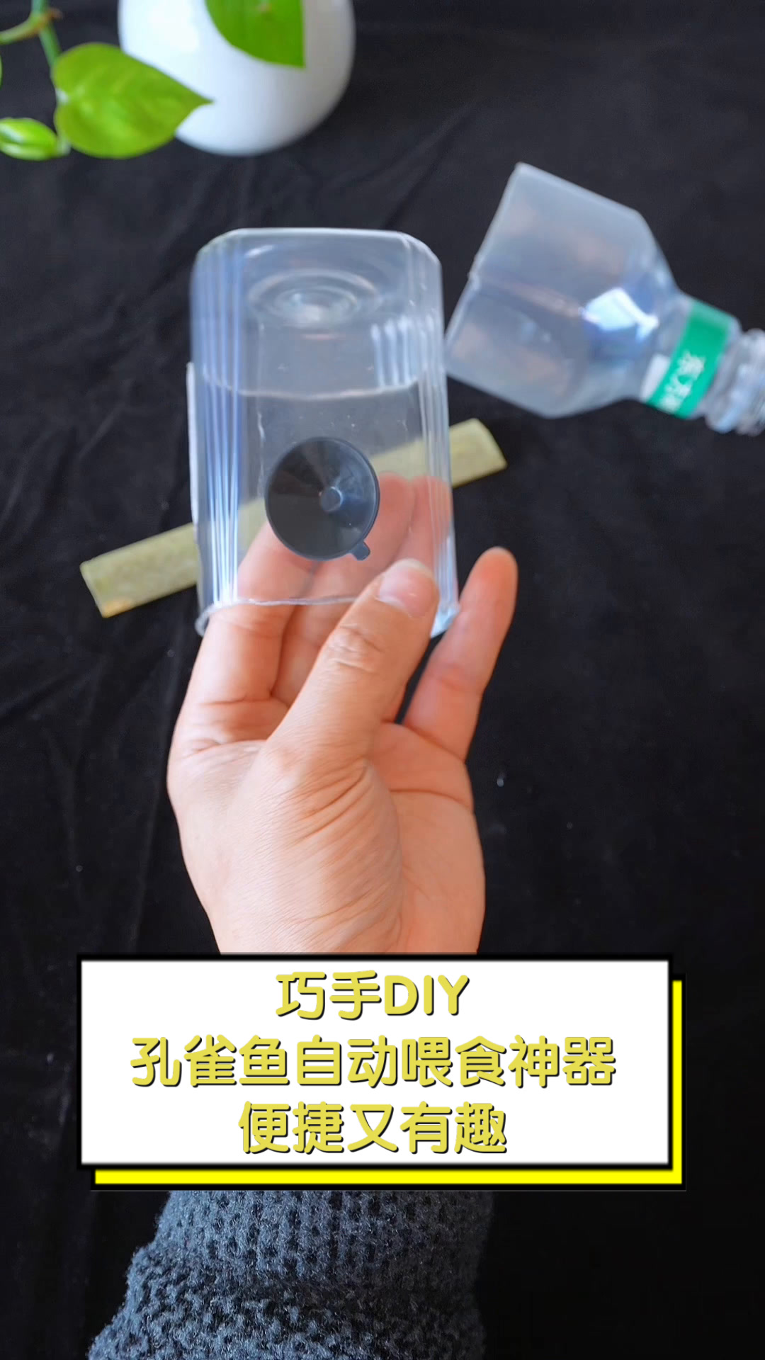 巧手DIY,孔雀鱼自动喂食神器,便捷又有趣
