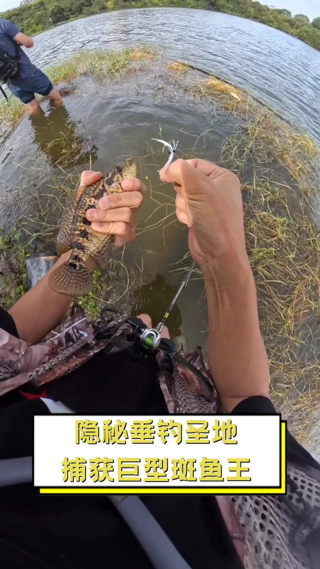 隐秘垂钓圣地,捕获巨型斑鱼王