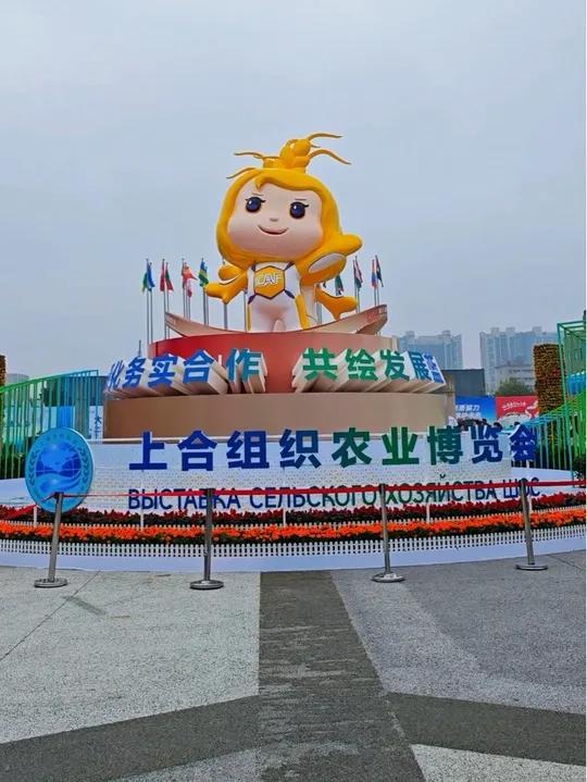 开幕即顶流!农高会首日子长煎饼一口沦陷,人气爆棚