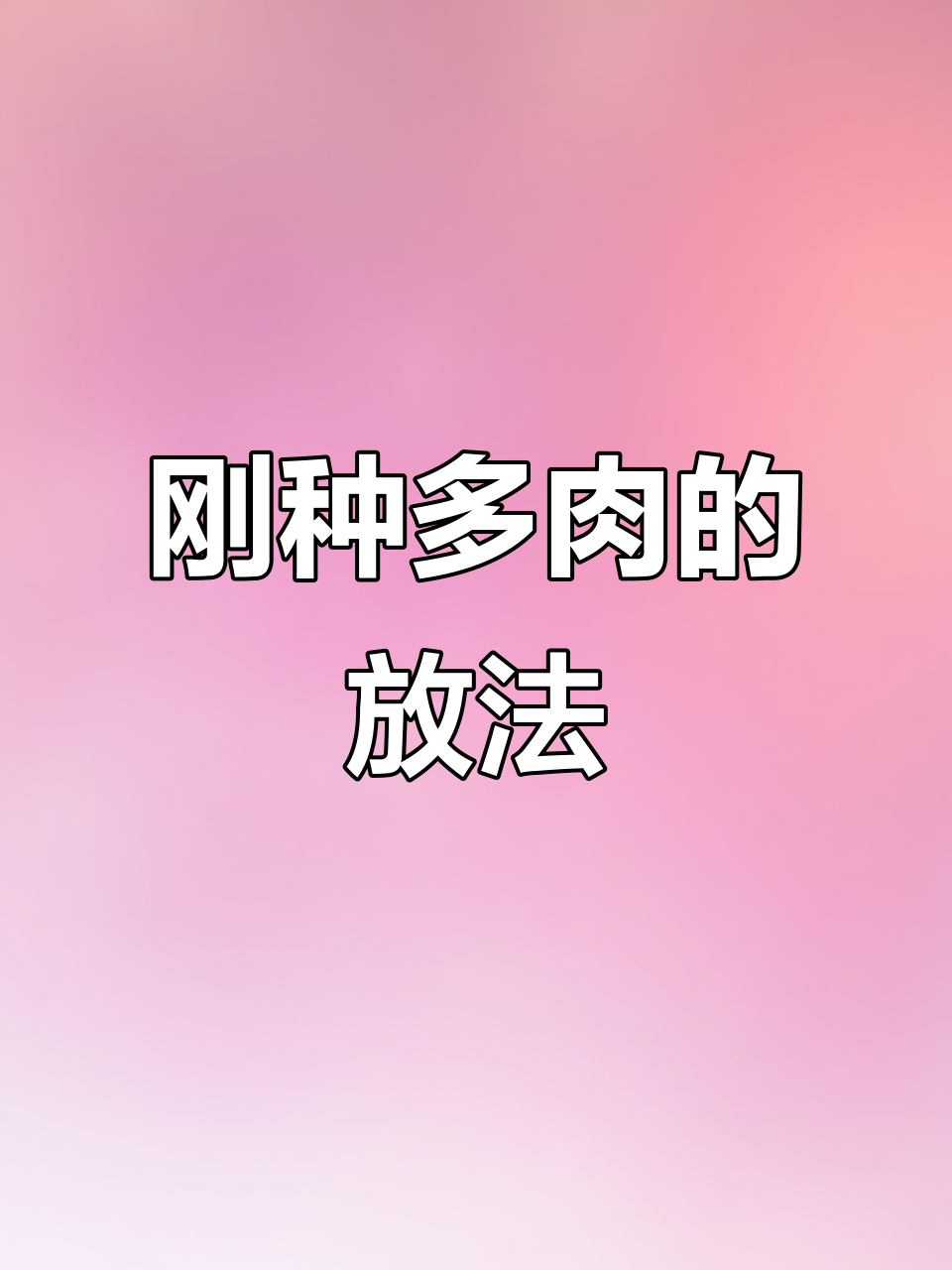 多肉上盆后如何摆放？通风是关键