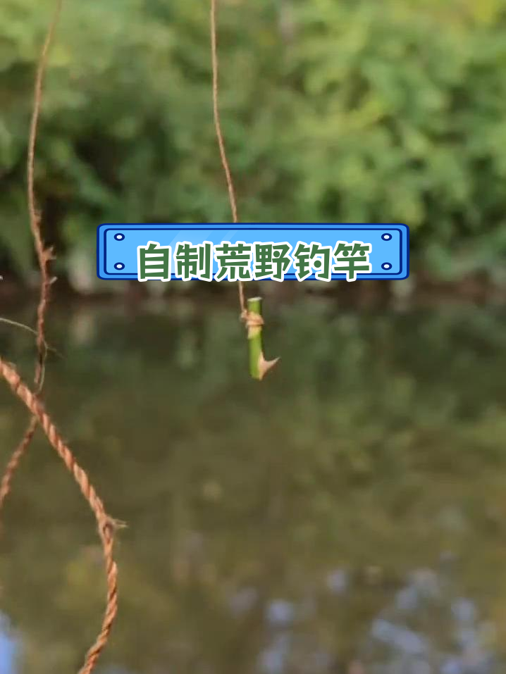 野外生存简易钓鱼竿制作技巧
