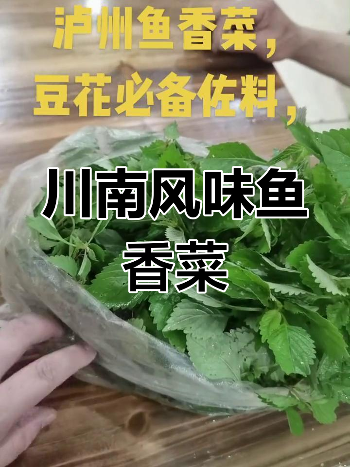鱼香菜与豆花的美味搭配
