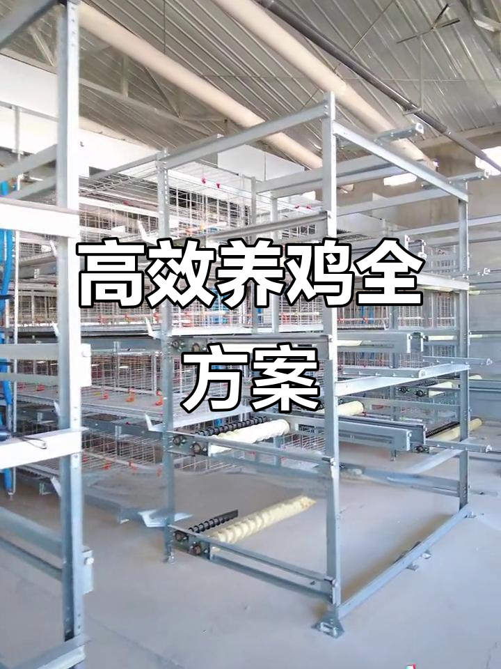 养鸡设备齐全,精准喂食、通风温控,提升养殖效率