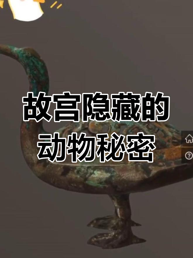 故宫里的“鸭子”竟是水鸟,看看你能猜对吗?