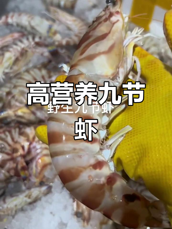野生九节虾:营养丰富,孕妇孩子必吃美味海鲜