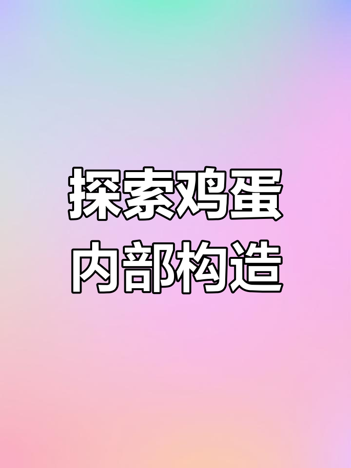 亲手拆解鸡蛋结构,了解各部分功能
