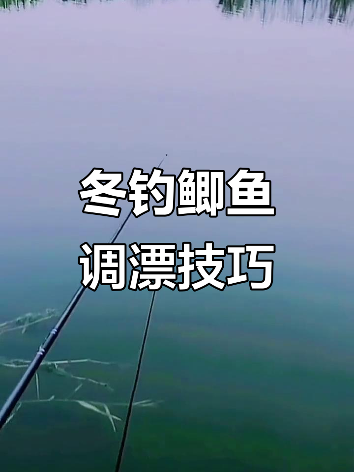 冬季钓鲫技巧:如何精准调漂找底,饵料到底状态调整
