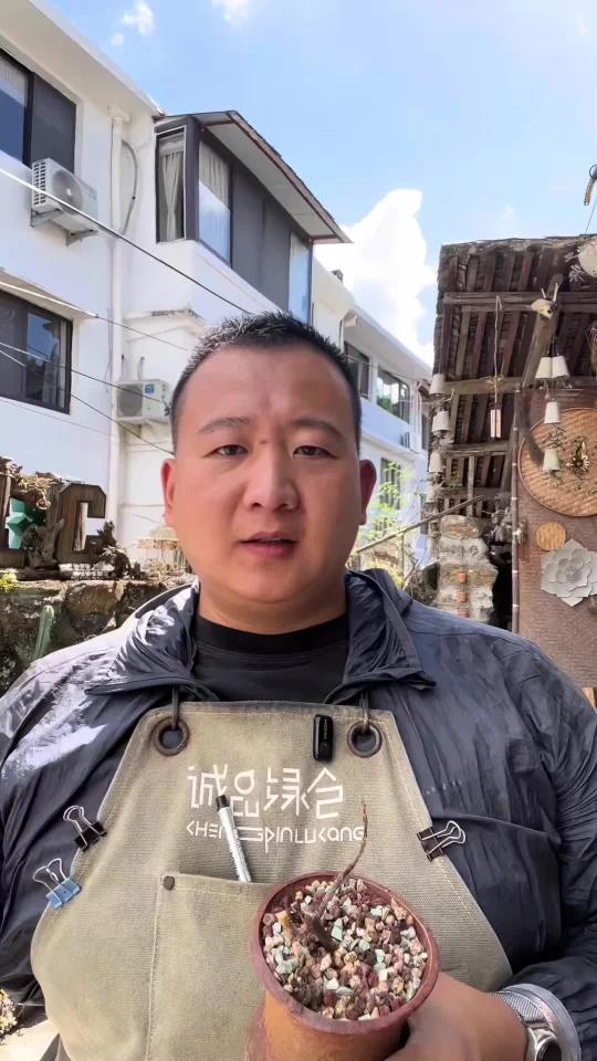 多肉旧土别扔！变废为宝神技，肉肉瞬间肥嘟嘟！