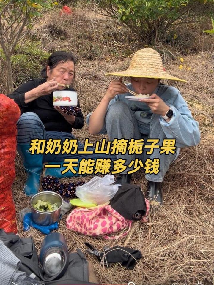 和奶奶摘了208斤栀子果一天能赚多少钱