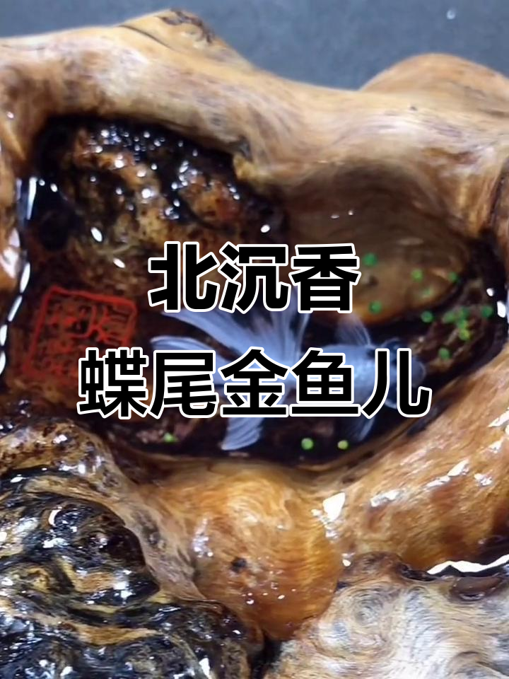 蝶尾金鱼与浮萍的完美结合，北沉香琥珀木倒流香摆件惊艳登场