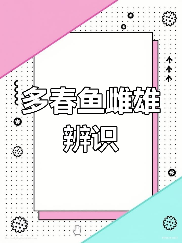 如何分辨多春鱼的雌雄?掌握这些技巧轻松辨别