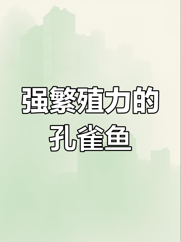 孔雀鱼:热带观赏鱼的代表