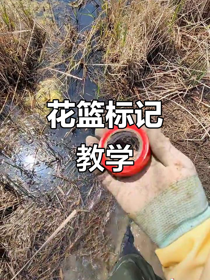 花篮捕鱼记号技巧:如何选择最耐用的颜色和材料