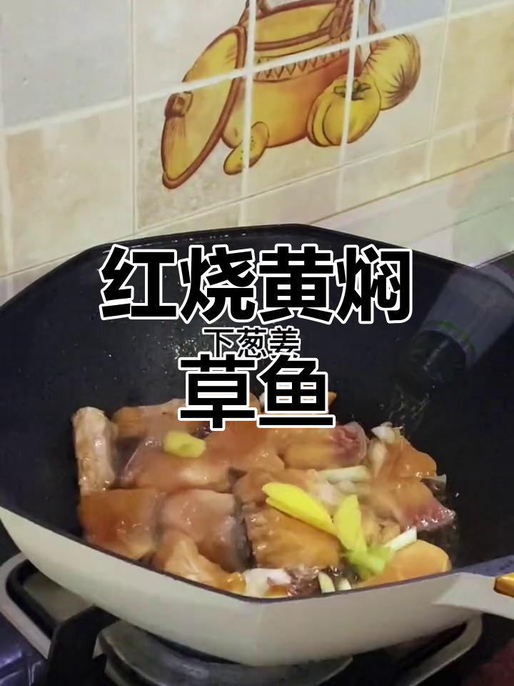 18元买草鱼,红烧黄焖做法大揭秘!鲜嫩美味家常菜