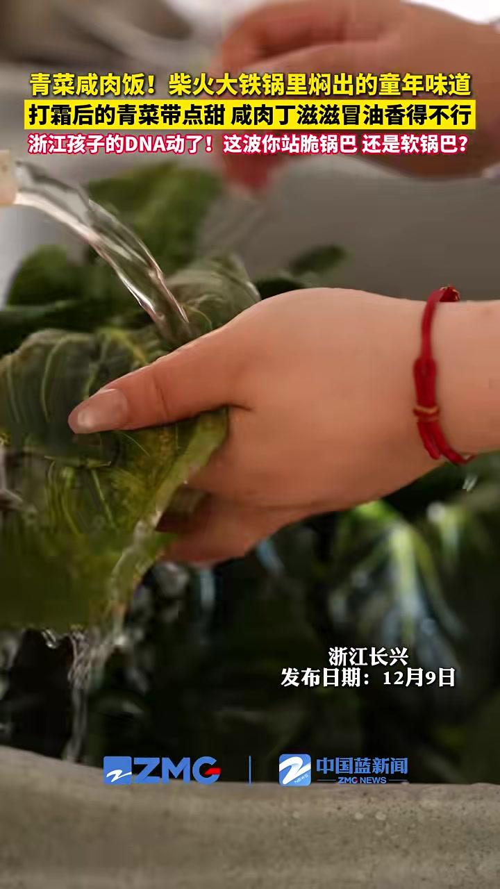 这锅青菜咸肉饭,是浙江人通往童年的任意门。把简单的米,变成我记了一辈子的味道。(供稿:长兴