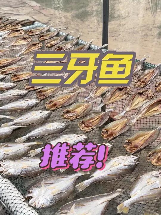 渔小夫品牌三牙鱼干采用大自然的阳光和海风将鱼晾晒而成,不使用任何防腐剂或添加剂,保留了最原