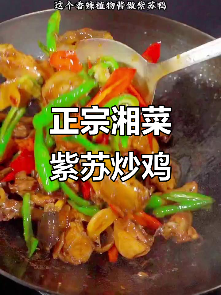 紫苏炒鸡,香辣又入味!湖南正宗家常菜