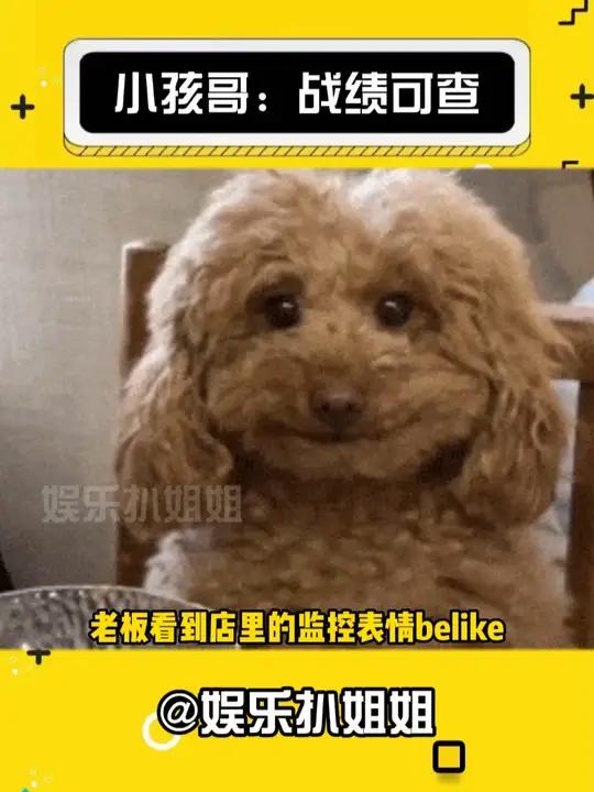 小孩哥:8个鸡腿是肚子的极限不是我的 娱乐评论大赏 震惊