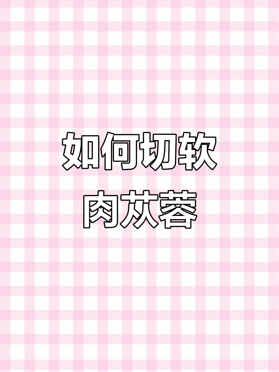 肉苁蓉硬如土豆,蒸后轻松切片!