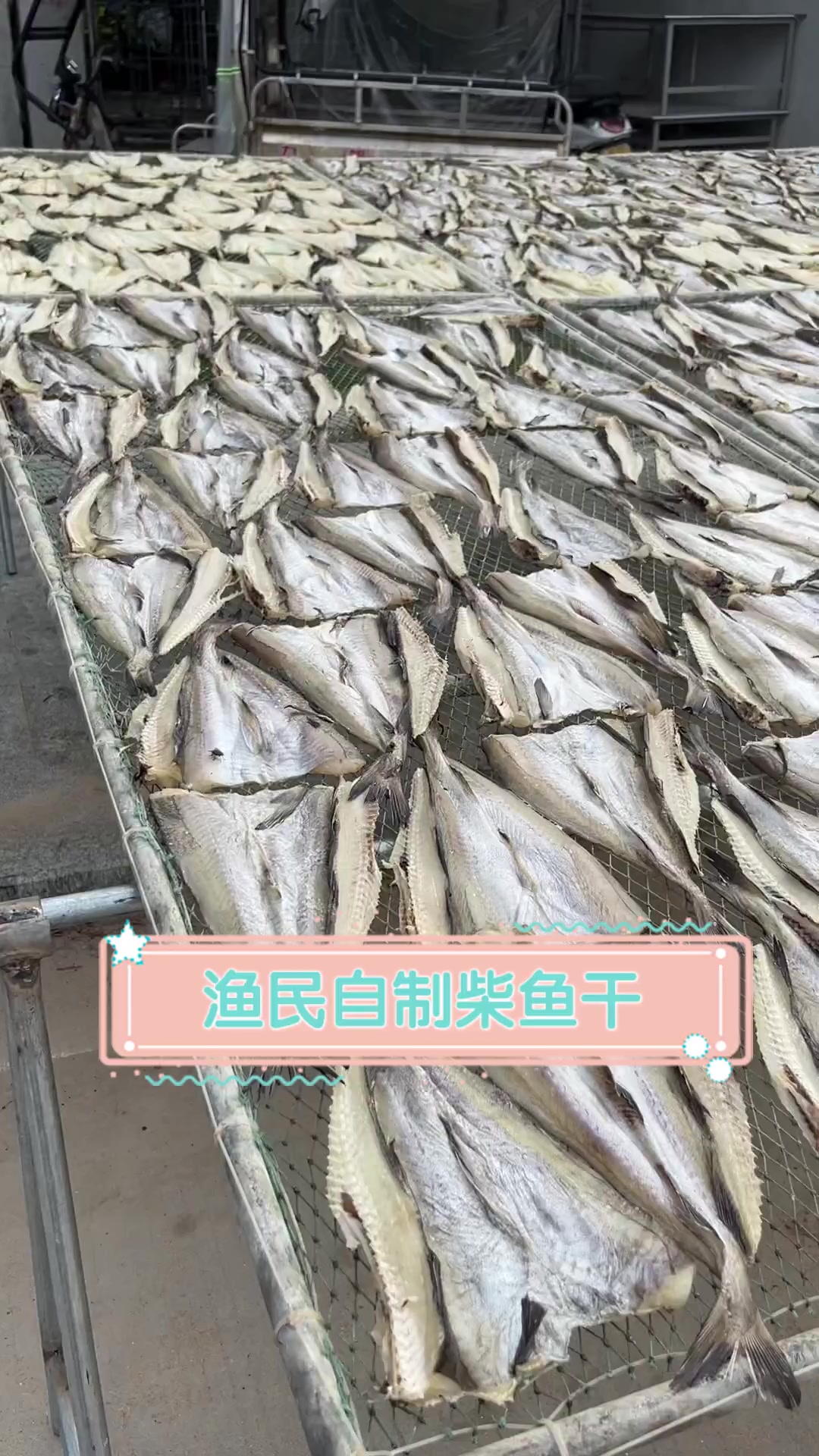 渔民自制柴鱼干