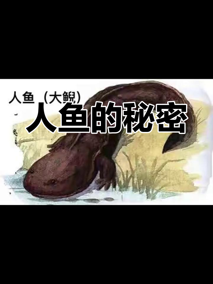 《山海经》中的神秘人鱼传说