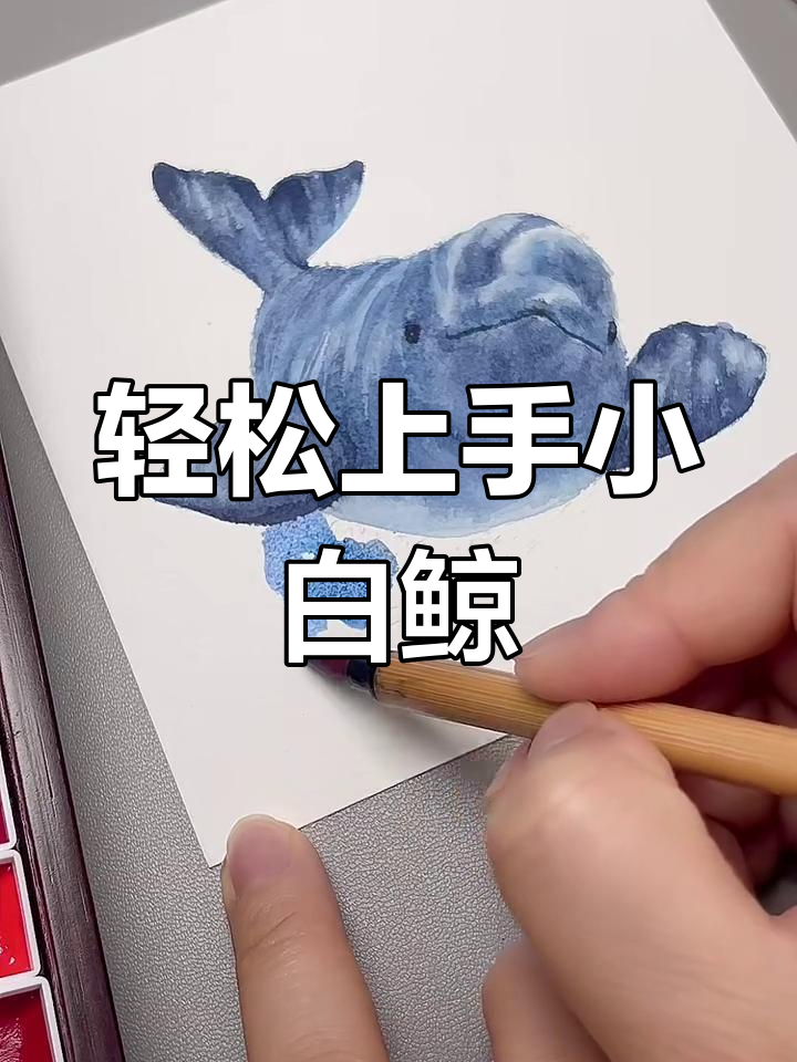 小白鲸水彩画,简单又可爱