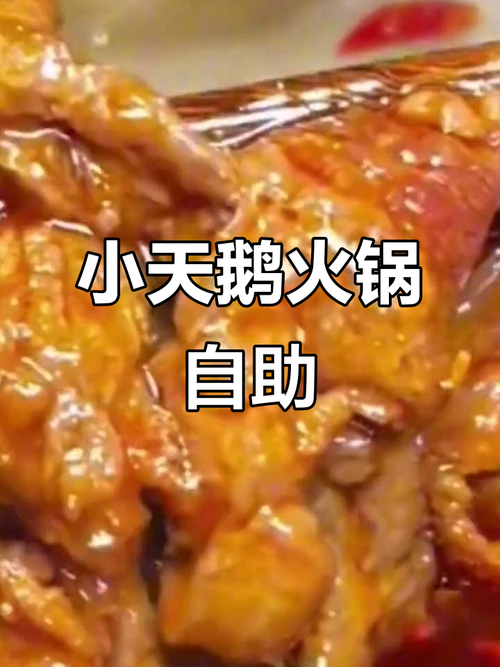 重庆小天鹅火锅自助,79元畅吃荤素搭配,超值福利不容错过