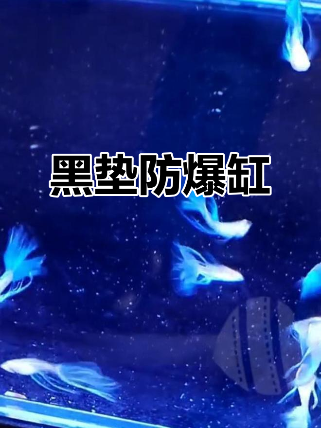 黑色鱼缸垫防爆缸,大C养起来更美观