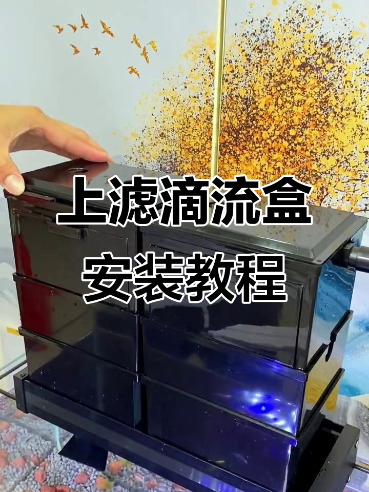 鱼缸上滤滴流盒安装全攻略，美观又实用