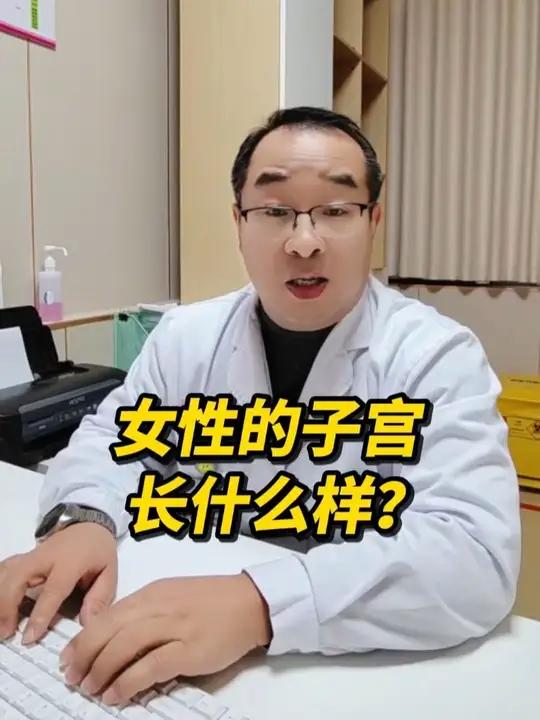 女性的子宫长什么样？