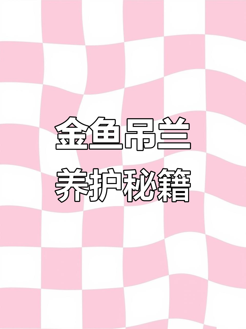 金鱼吊兰种植全攻略,避免枯萎与弱苗问题