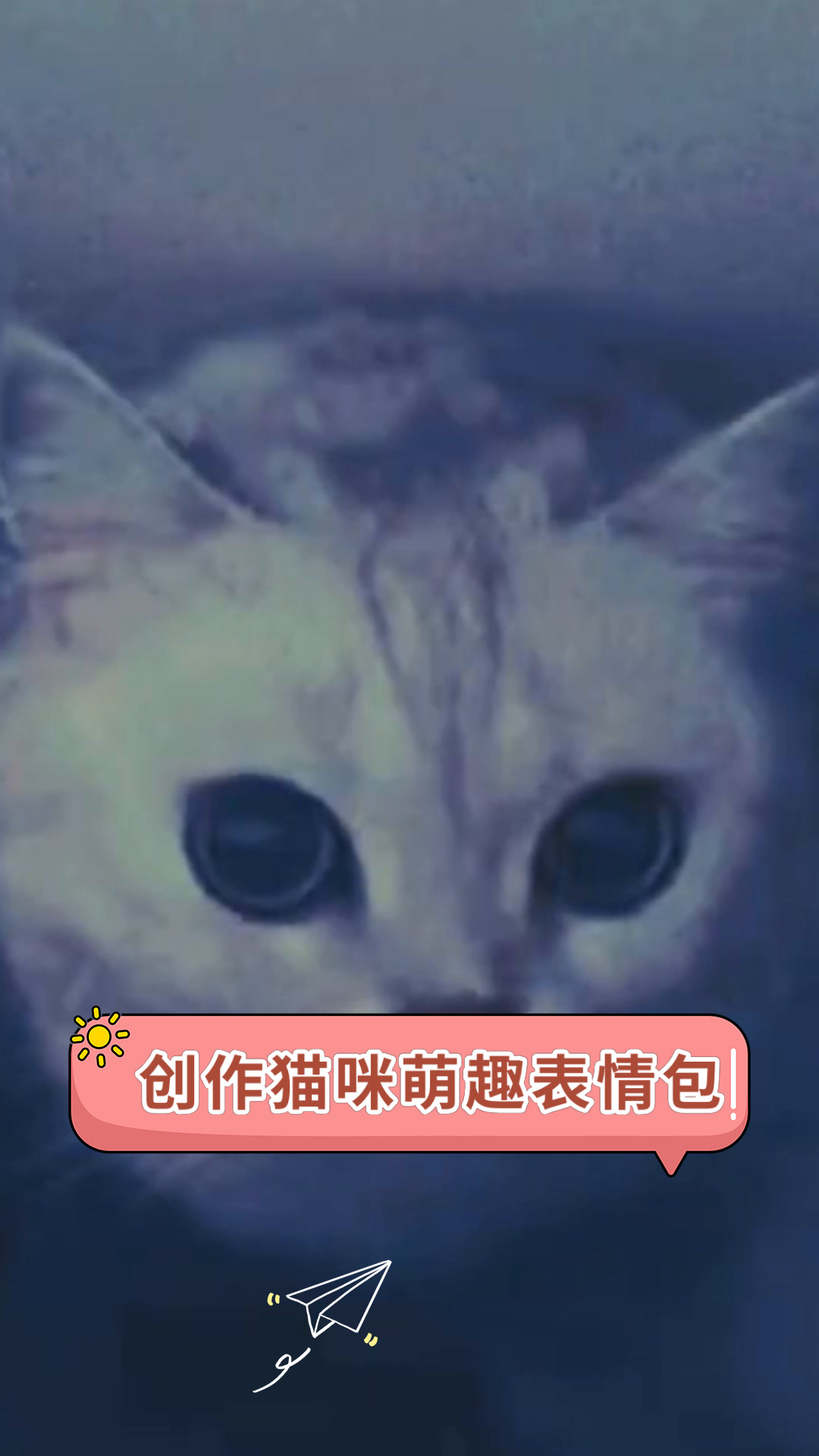 创作猫咪萌趣表情包