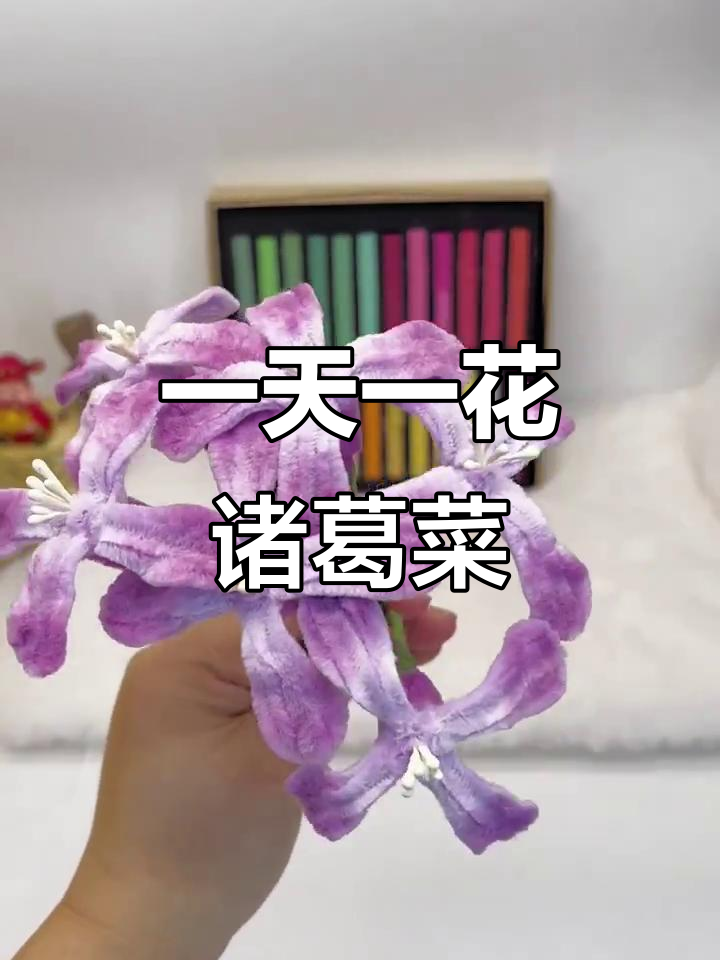 365天挑战:每天一款扭扭棒花花,诸葛菜二月蓝来袭